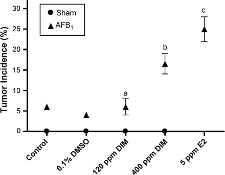 Liver tumor incidence in surviving animals fed control diet, vehicle control (0.1% dimethyl sulfoxide), DIM or E2 for 18 weeks post-initiation by 50 p.p.b. AFB1. Sham animals were initiated with 0.01% EtOH vehicle without AFB1 as a negative control. Each treatment consisted of duplicate tanks with at least 70 animals per tank. Symbols represent pooled overall tumor incidence for each treatment with error bars indicating range of the data. Statistical comparisons of tumor incidence in treated animals compared with vehicle control (0.1% dimethyl sulfoxide) are indicated by aP > 0.50, bP < 0.003 and cP < 0.0001. Sham initiation not applicable for E2-positive control.