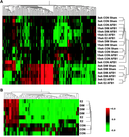Bidirectional hierarchical clustering of gene expression in trout liver by Pearson correlation. (A) Correlation in trout liver samples after dietary treatment with 0.1% dimethyl sulfoxide vehicle control (CON), 5 p.p.m. E2 or 400 p.p.m. DIM for 3- and 15-week time points in sham- and AFB1-initiated trout. Results are shown as fold change (n = 2) compared with appropriate vehicle-treated control as follows: CON sham/CON sham, CON AFB1/CON sham, DIM sham/CON sham, DIM AFB1/CON AFB1 and E2 AFB1/CON AFB1. (B) Correlation in trout HCC tumors from AFB1-iniated animals treated with 0.1% dimethyl sulfoxide vehicle control (CON), 5 p.p.m. E2 and 400 p.p.m. DIM. Results are shown as fold change (n = 3) compared with HCC tumors from control trout. Red color, up-regulation; green color, down-regulation; black, unchanged expression and grey, missing values. Heatmap reflects gene expression profiles for genes differentially regulated 1.8-fold up or down (P < 0.05) in at least one treatment group.