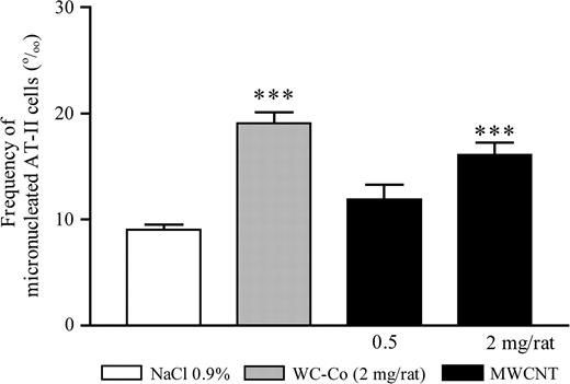 Frequency of micronucleated AT-II cells (‰ cells) 3 days after intra-tracheal treatment of rats with MWCNT (0.5 or 2 mg per rat), WC–Co (2 mg per rat) or saline (NaCl 0.9%). The doses of 0.5 or 2 mg per rat correspond, respectively, to 2.3 or 9.1 mg/kg body wt. The values represent the mean of five animals ± SEM. For each rat, four cultures of AT-II cells were performed. ***P < 0.001 denotes a significant difference between the mean value measured in the indicated groups compared with saline, as analysed by the Student–Newman–Keuls multiple comparison test.