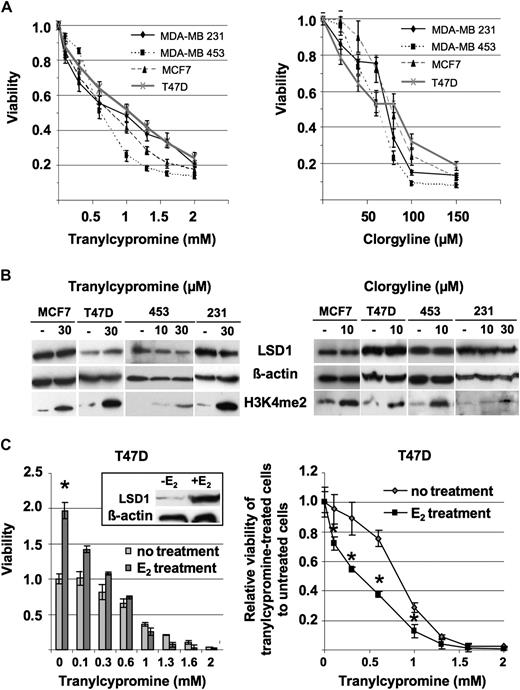  Reduction in cell growth and increase of global H3K4 methylation upon MAOIs treatment. ( A ) Four different breast cancer cells were treated with tranylcypromine and clorgyline for 72 h for MTT assay. MAOIs treatment resulted in extensive reduction of cell numbers. ( B ) Western blot analysis confirmed an accumulation of H3K4 dimethylation upon treatment with 10 or 30 μM tranylcypromine and 10 or 30 μM clorgyline for 24 h in all breast cancer lines. In contrast, LSD1 protein levels were not affected. β-actin served as the loading control. ( C ) Effect of estrogen treatment on the sensitivity to MAOIs was tested in T47D (ER+) cells. Cells were treated with different concentrations of tranylcypromine in the absence or presence of 17β-estradiol (E 2 ). Western blot analysis showed that E 2 induced LSD1 protein. The unpaired t -tests were performed to show that the differences between two groups are significant ( P < 0.05). 