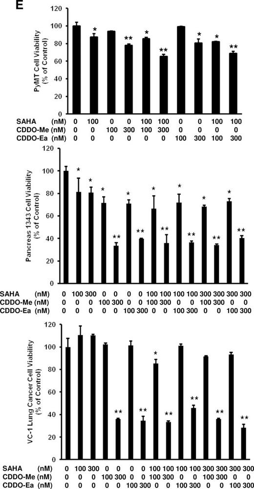  SAHA enhances the ability of CDDO-Me and CDDO-Ea to suppress NO production in RAW 264.7 cells and in primary mouse macrophages. RAW 264.7 cells were treated with CDDO-Me or CDDO-Ea, SAHA or the combination of SAHA and a triterpenoid and stimulated with IFN-γ ( A ) or LPS ( B ) for24h. Peritoneal macrophages from PyMT mice ( C, D ) were treated with the same combinations of drugs for 48h. The supernatants from the treated cells were assayed by the Griess reaction for NO production. * P < 0.05 and ** P < 0.001 versus controls stimulated with IFN-γ or LPS (A–D); # P < 0.05 and ## P < 0.001 versus single drug treatment (A, B); # P < 0.05 versus one single drug treatment and ## P < 0.05 versus both single drug treatments. ( E) Primary PyMT tumor cells, pancreas-1343 and VC-1 lung cancer cells were treated with increasing concentrations of CDDO-Me or CDDO-Ea, SAHA or the combination of SAHA and triterpenoids for 48h, and effects on proliferation were measured via 3-(4,5-dimethylthiazol-2-yl)-2,5-diphenyltetrazolium bromide analysis. * P < 0.05 and ** P < 0.001 versus controls. 