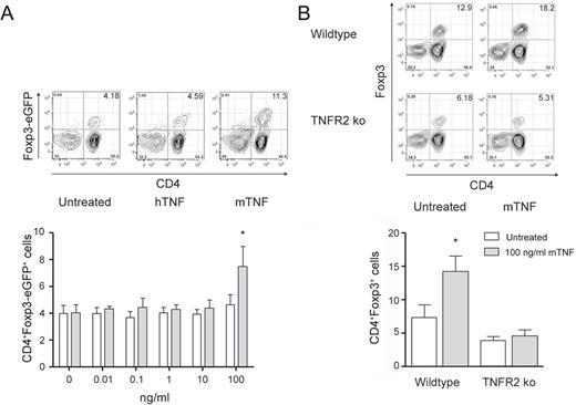  mTNF, but not hTNF, induces Treg cells in vitro in an TNFR2-dependent manner. ( A ) 100 000 B6.Foxp3.Luci.DTR-4 T cells were cultured with hTNF or mTNF for 96h in vitro as indicated or left untreated before flow cytometric analysis for CD4 + Foxp3-eGFP + expressing cells. Shown are representative cytometric data for each group (untreated, 100ng/ml hTNF, 100ng/ml mTNF) and the respective data analysis ( n = 5). ( B ) 100 000 B6 WT or B6.TNFR2 KO T cells were cultured with 100ng/ml mTNF for 96h in vitro or left untreated before flow cytometric analysis for CD4 + Foxp3 + expressing cells. Shown are representative cytometric data for each group and the respective data analysis ( n = 5). Mean ± standard error of the mean, * P ≤ 0.05. 