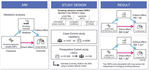 Graphical Abstract