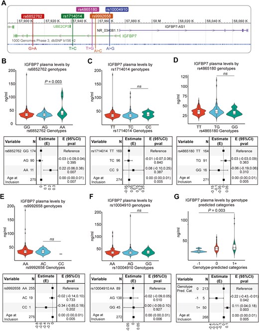 Schematic chromosome locations of the five SNPs and violin plots of their respective association with IGFBP7 plasma levels, subfigures labelled from A to G
