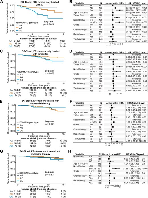 Kaplan-Meier curves and forest plots of distant metastasis-free interval in relation to rs10004910 genotypes and type of adjuvant endocrine treatment in patients with ER+ tumors, subfigures labelled from A to H