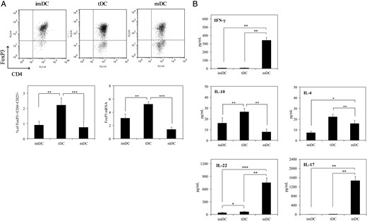 Immunosuppressive characteristics of tDCs. (A) Each DC subset (2 × 105cells/mL) was co-cultured with CD4+ T cells (1 × 106 cells/mL) from splenocytes of naive Balb/c mice for 72 h. Ten independent tDC+CD4+ T cell co-culture preparations were used for this experiment (each co-culture preparation was prepared from a different mouse). For Treg cell analysis, the mixed cells were stained with anti-CD4, anti-CD25, and then FoxP3 staining buffer and analysed by flow cytometry. The upper right quadrant in the dot plots shows the population of CD4+FoxP3+ cells present after culture with imDC, tDC, or mDC (representative of 10 independent co-culture preparations). The lower left bar graph shows the percentage of CD4+CD25+FoxP3+ cells in the mixed cultures (mean of 10 independent co-culture preparations). FoxP3 mRNA levels were determined by qRT–PCR. The normalized value for FoxP3 mRNA expression was calculated as the relative quantity of FoxP3 divided by the relative quantity of GAPDH. Results are expressed as means ± SD (n = 10 independent co-culture preparations) (assays for each preparation were performed in triplicate). (B) Cytokine levels in the supernatants after 72 h were quantified by ELISA. Results are expressed as means ± SD (n = 5 independent co-culture preparations) (assays for each preparation were performed in triplicate). *P < 0.05; **P < 0.01; ***P < 0.001.