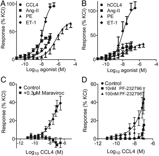 Vasoconstrictor responses to CCL4 (filled circle), angiotensin-II (Ang-II, filled square), phenylephrine (PE, filled triangle), and endothelin-1 (ET-1, filled diamond) in human endothelium-denuded (A) saphenous vein (n = 6–13) and (B) coronary artery (n = 4–9). Antagonism of (C) CCL4 (filled circle) by 300 nmol/L maraviroc (filled square) (n = 4) and by (D) 10 nmol/L (filled square) and 100 nmol/L (filled triangle) PF-232796 (n = 4) in saphenous vein.