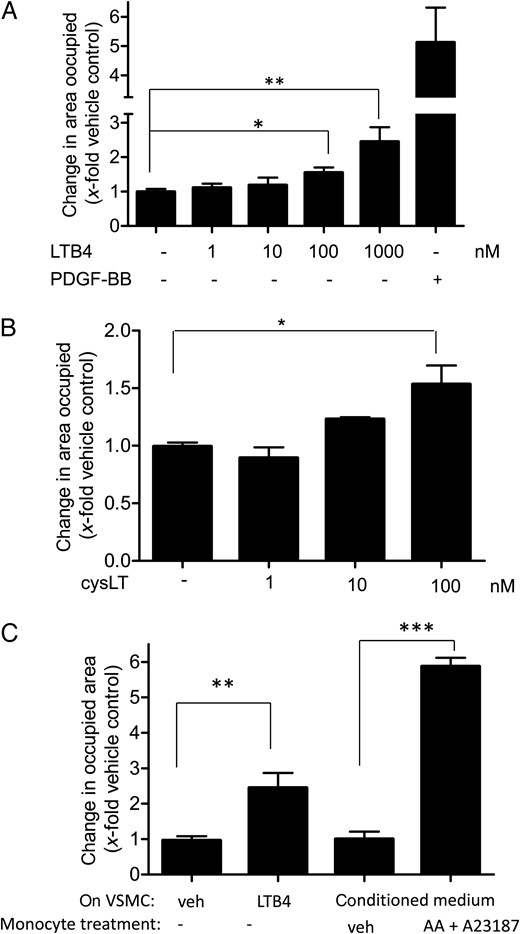 LTB4, CysLT, and LT-enriched conditioned medium from activated monocytes induce VSMC migration. VSMCs were stimulated with vehicle (0.33% ethanol; –), increasing concentrations of LTB4 (A) or cys LT (B) as indicated, or with 10 ng/mL of PDGF-BB as a positive control for 21 h in a wound healing assay. (C) VSMCs were incubated for 21 h in a wound healing assay with either vehicle (0.33% ethanol; veh), LTB4 (1 µM), or conditioned medium from monocytes treated for 10 min with either vehicle (0.33% ethanol + 0.1% DMSO; veh), or AA (20 µM) + A23187 (2.5 µM). (A–C) Graphs indicate the change in area occupied by cells as fold induction of VSMC migration from 4 to 6 (A) and 3 (B and C) biological replicates with four technical replicates each; mean + SE; *P < 0.05; **P < 0.01; ***P < 0.001.
