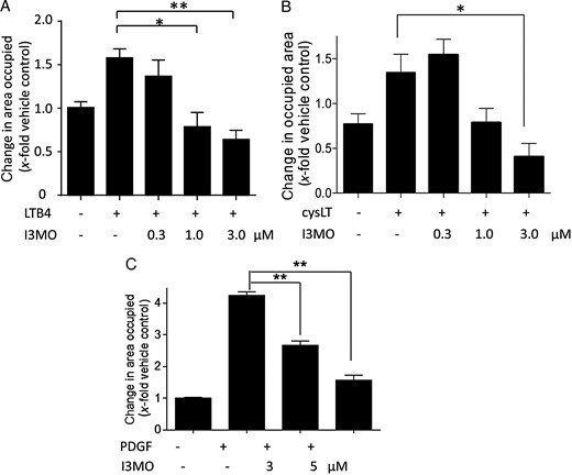 I3MO inhibits LTB4-, cysLT-, and PDGF-induced VSMC migration. VSMCs were pre-treated with either vehicle (0.1% DMSO; –) or the indicated concentrations of I3MO for 15 min and stimulated with (A) LTB4 (1 µM), (B) cysLT mixture (100 nM), or (C) PDGF (10 ng/mL) for 21 h in the course of the wound healing assay. (A–C) Graphs indicate the change in area occupied by cells as fold induction of VSMC migration from 3 (A and C) and 4 (B) biological replicates with four technical replicates each; mean + SE; *P < 0.05; **P < 0.01.