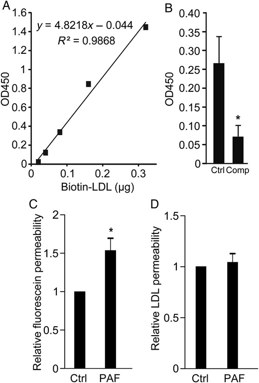 LDL transcytosis is performed by HCAECs in vitro. (A) Standard curve for ELISA for biotin-LDL showing linearity and high sensitivity; y-axis is optical density at 450 nm (see Methods). (B) Transwells coated with confluent HCAECs were allowed to bind biotin-LDL and then rinsed to remove unbound ligand. Two hours later, LDL in the lower chamber of the transwell was measured by ELISA. Addition of 50-fold excess unlabelled LDL (Comp) reduced biotin-LDL transcytosis, *P < 0.05 by Student's t-test. n = 7 experiments. (C and D) The transwell assay for LDL transcytosis is not affected by paracellular leak. Administration of PAF (10 µM) increased the permeability of endothelial monolayers to Na-fluorescein (C) but did not affect LDL transcytosis (D) compared with untreated cells (Ctrl); *P < 0.05 by one-sample t-test, n = 6 experiments.