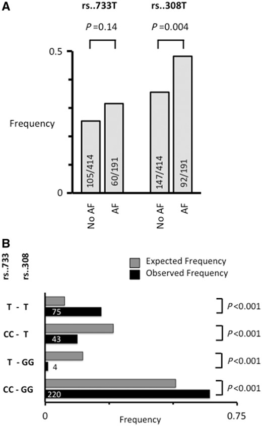 Frequency and segregation of the 4q25 loci rs2200733 and rs13143308. (A) The frequency of the rs2200733T (rs..733T) and rs13143308T (rs..308T) risk variants on chromosome 4q25. Number of patients genotyped are given for each risk variant in patients without (No AF) and with AF. (B) Relative frequency of rs..733 and rs..308 genotypes in 342 patients donating right atrial tissue (black bars). T at rs..733 indicates the presence of at least one risk allele, and T at rs..308 indicates the presence of at least one risk allele at this locus. Grey bars indicate the expected frequency of the same genotypes based on the allele frequencies. P-value for difference between observed and expected frequencies are given on the right.