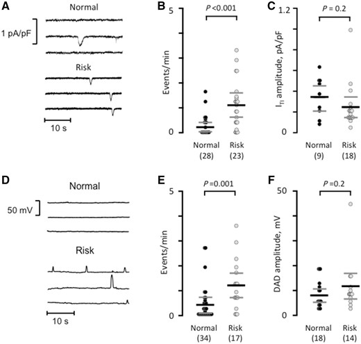 The risk variant rs13143308T increases spontaneous electrical activity. (A) Spontaneous ITI currents in patients with a normal or a risk variant at rs13143308. (B) ITI frequency measured in myocytes without (normal) or with a risk variant. (C) ITI amplitude measured in the myocytes from B. (D) Membrane potential recordings at −80 mV in myocytes from a patient with normal and one with a risk variant. (E) Frequency of spontaneous membrane depolarizations at −80 mV in patients with normal and risk variants. (F) Amplitude of the depolarizations in the myocytes from (E). P-values for the unpaired t-tests (C and F) or Mann–Whitney tests (B and E) are given above data points and the number of patients in parentheses.