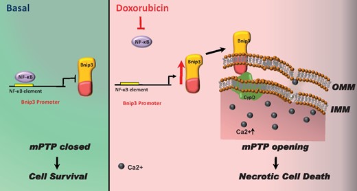 Graphical Abstract