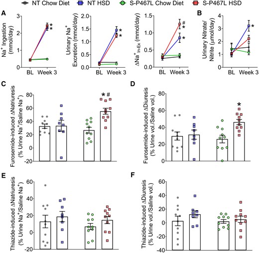 Renal function. (A) Sodium ingestion and urinary sodium excretion were measured in metabolic cages to determine ΔNain-ex+ at baseline and by Week 3 (n = 6–8). (B) Urinary nitrate and nitrite levels (n = 6–8). (C–F) In separate cohort of animals, a single i.p. injection of normal saline equal to 10% of body weight was administered on Day 21 without diuretics, repeated on Day 24 with furosemide (20 mg/kg), and repeated again on Day 27 with hydrochlorothiazide (40 mg/kg), respectively. Sodium excretion and urine volume in the subsequent 4 h following each injection was monitored and plotted as percentages of saline sodium and volume injected in Supplementary material online, Figure S7 (n = 8–10). Furosemide (C and D) and thiazide (E and F) induced increases in natriuresis and diuresis were calculated from Supplementary material online, Figure S7. Data are plotted as mean ± SEM. *P < 0.05 HSD vs. chow diet. #P < 0.05, S-P467L HSD vs. NT HSD.