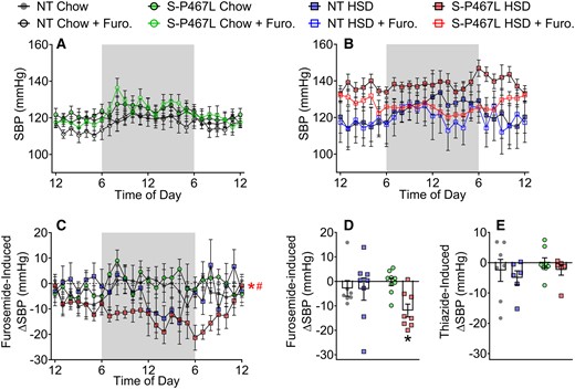 Blood pressure responses to diuretics. A subset of mice in Figure 1 were treated with a single dose of furosemide at 20 mg/kg via i.p. injection in Week 5. (A and B) The average of SBP 24 h prior to (solid symbols) and 24 h following (open symbols) the injection were recorded. (C and D) Furosemide-induced decreases in blood pressure were calculated as differences between the solid curves and open curves and were presented as hourly means (C) and daily means (D). (E) After a 7 day washout period, the same animals received hydrochlorothiazide (300 mg/L) in drinking water for 5 days in Week 6. The differences of SBP before and after the thiazide treatment were calculated and presented as daily means. Data in panels (A–D) are N = 7–9 per group. Data in Panel (E) are N = 6–8 per group as indicated by individual data points. Data are plotted as mean ± SEM. Hourly ΔSBP was analysed by two-way ANOVA RM. Daily means of ΔSBP were analysed with two-way ANOVA with Tukey’s multiple comparison procedures. *P < 0.05, S-P467L HSD vs. S-P467L chow diet; #P < 0.05, S-P467L HSD vs. NT HSD.
