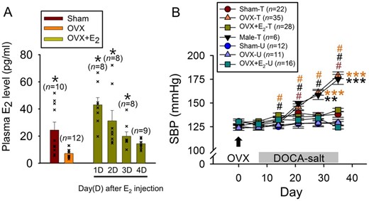 Protective role of E2 against DOCA-salt hypertension. (A) Plasma levels of E2 in Sham, OVX, and OVX+E2 rats. In OVX+E2 rats, the E2 level was measured at 1–4 days after a single E2 injection (2 μg in 100-μL sesame oil, SC). *P < 0.05 compared with OVX (Kruskal–Wallis one-way ANOVA on ranks followed by pairwise comparison with Dunn’s Method). n: number of rats. (B) Effects of DOCA-salt treatment on the SBP in male and female (Sham, OVX, and OVX+E2) rats. #P < 0.05 compared with the value on Day 7 in a given group; **P < 0.01, ***P < 0.001 compared with Sham-T, OVX-E2-T, Sham-U, OVX-U, and OVX+E2-U groups (two-way repeated measures ANOVA followed by pairwise comparison with the Holm–Sidak procedure; group × time: P < 0.001, group: P < 0.001, time: P < 0.001). T and U in the key box indicate DOCA-salt-treated and untreated, respectively.