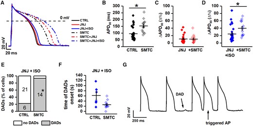 Effect of NOS1 inhibition on APD and DADs in GP cardiomyocytes. (A) representative APs from control (CTRL, solid lines) and NOS1 inhibition (SMTC, dotted lines); colour code: black = basal, red = IKs blockade alone, and blue = plus 1 nM ISO. (B) Effect of NOS1 inhibition on APD90 in basal condition. (C) Percent change (Δ%) in APD90 resulting from IKs blockade in CTRL and during NOS1 inhibition. (D) Same as in C after adding ISO. (E) Effect of NOS1 inhibition on DADs incidence (at 1 nM ISO). (F) Effect of NOS1 inhibition on the time of DADs onset after the beginning of ISO challenge. (G) Example of triggered activity observed during strong β-adrenergic stimulation in the presence of NOS1 inhibition (L-VNIO + 10 nM ISO). Sample sizes: CTRL n = 27/12 and SMTC n = 15/4 for B–E; CTRL n = 6/5 and SMTC n = 14/4 for F. *P < 0.05 vs. control from unpaired Student’s t-test and the χ2 test as appropriate.