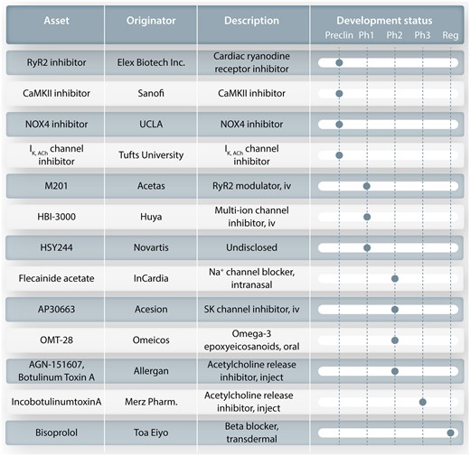 Present development pipeline for AF antiarrhythmic agents in the pharmaceutical industry. The agent being developed is shown at the left, followed by the originating entity, a description of the product and the present developmental stage. CaMKII, calcium/calmodulin dependent protein-kinase type II; IK,ACh, acetylcholine-gated potassium channel; Na+ channel, sodium channel; NOX4, NADPH oxidase type 4; RyR2, ryanodine receptor type 2; SK channel, small-conductance calcium-dependent potassium channel; UCLA, University of California at Los Angeles.