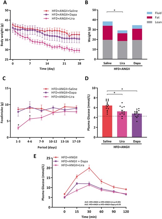 Effects of Lira and Dapa on body weight, glucose tolerance test, and food intake. (A) Body weight from start of treatment over time (days) (n = 13–14 mice per group). (B) Body mass composition (fluid, fat, lean mass) measured by minispec LF90II body composition analyser (n = 13–14 mice per group). (C) Total food intake per 3 days (n = 13–14 mice per group). (D) Fasting glucose levels per group measured 2 days before sacrifice (n = 13–14 mice per group). Dotted line represents control reference value. (E) Plasma glucose levels over time (min) after glucose loading (2 g/kg body weight) in an oral glucose tolerance test (n = 9–10 mice per group). To determine glucose tolerance, we calculated area under the curve (AUC) per treatment group. LBM, Lean, fat and fluid Body Mass Measurements; dotted lines represents control reference values; HFD + ANGII + Dapa, high-fat diet + angiotensin II with dapagliflozin treatment; HFD + ANGII + Lira, high-fat diet + angiotensin II with daily liraglutide injection; HFD + ANGII + Saline, high-fat diet + angiotensin II with saline injections. Data are presented as mean + standard errors of the mean. *Kruskal–Wallis test followed by Mann–Whitney U test P <0.05 is considered significant.