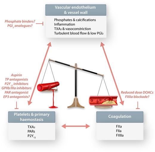 Topics reviewed in this special issue of Cardiovascular Research: vascular endothelium and vessel wall, platelets and primary haemostasis, as well as coagulation. This pathogenic triad involved in promoting the progression of atherosclerosis and its thrombotic complications in arteries and specific therapeutic targets and strategies are discussed. All the currently used antiplatelet and anticoagulant drugs and their combinations come with the inherent link between antithrombotic effects and bleeding risk. The development of newer antithrombotic drugs is focused on shifting the balance towards beneficial antithrombotic effects with less bleeding.
