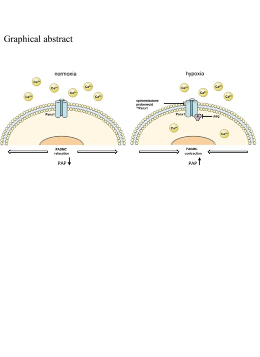 Graphical Abstract