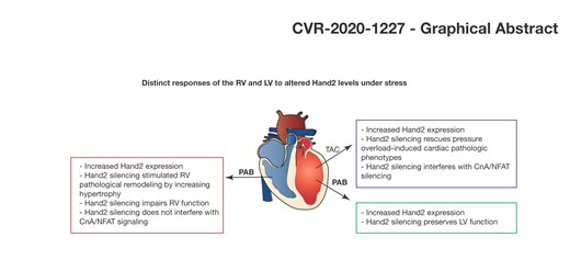 Graphical Abstract