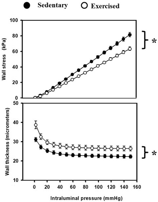 RAEX induces structural remodelling of rat intramural coronary arterioles resulting—among others—in reduced wall stress due to increased wall thickness (as shown in the figure), but also increased incremental distensibility, decreased incremental tangential elastic modulus. These changes allow a greater constrictor and dilator range for the coronary arterioles to operate. Mean values were used from two-way ANOVA tests with Tukey paired comparisons: *P < 0.05 (modified from ref.,27 with permission of Karger).