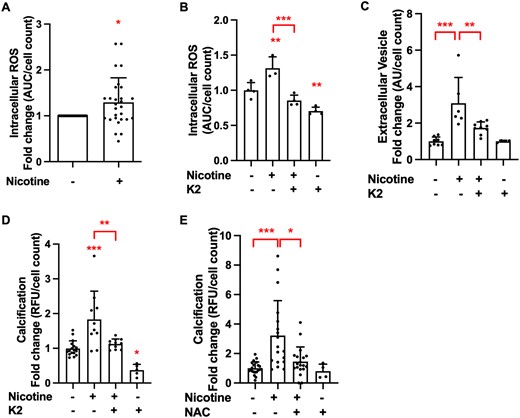 Nicotine-induced ROS production leads to VSMC calcification. (A) Stimulation of nicotine (1 mM, 40 min) induces intracellular ROS of VSMCs compared to vehicle control. ROS production was measured using a fluorescent assay with DCFDA. Cells were seeded in 96-well black plates at 8000 cells/well. Data from n = 7 independent experiments in quadruplicate. Statistical significance was tested with one-sample test. Pre-treatment of VSMCs with vitamin K (10 µM, 1 h) prior to stimulation with nicotine reduces (B) intracellular ROS (1 mM nicotine, 40 min, 8000 cells/well), data from n = 3 to 4 independent experiments (C) EV secretion (1 mM nicotine in DMEM with 0.5% FBS, 24 h, 15 000 cells/well, and (D) VSMC calcification (1 mM nicotine in DMEM with 2.5% FBS and 3.6 mM Ca2+, 3–5 days, 15 000 cells/well). Data from n = 3 independent experiments in duplicate or triplicate (C) and n = 3 to 5 independent experiments in duplicate, triplicate, or quadruplicate (D). Data of K2 control n = 1 experiment in quadruplicate (C) and n = 2 independent experiments in duplicate and triplicate (D). Statistical significance was tested with ANOVA (B–D). (E) Pre-treatment with NAC (0.5 µM, 1 h) prior to nicotine stimulation reduces VSMC calcification induced by DMEM with 2.5% FBS and 3.6 mM Ca2+ (3–5 days). Cells were seeded in 48-well plates at 15 000 cells/well. Calcification was detected using Fetuin A-Alexa-546. Data from n = 5 independent experiments, each in triplicate or quadruplicate. Data of NAC control n = 1 experiment in quadruplicate. Statistical significance was tested with Kruskal–Wallis test.