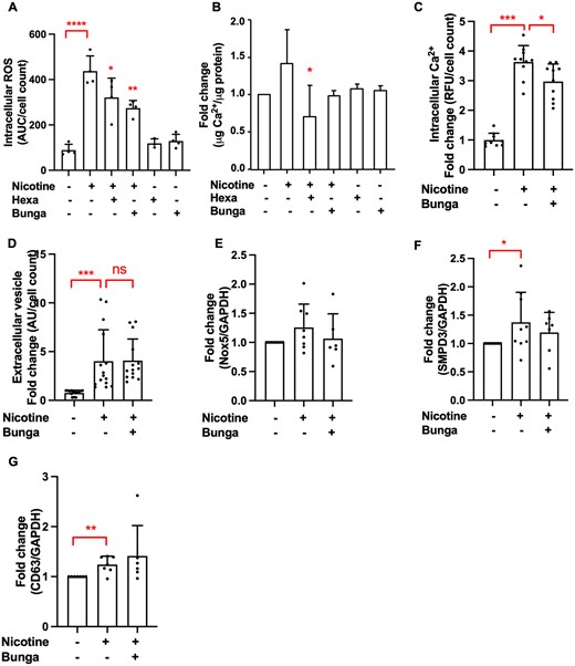Nicotine mediates its effects through interaction with α3 and α7 nicotinic acetylcholine receptor. (A) Pre-treatment with α-bungarotoxin (1 µM, 1 h) and hexamethonium bromide (100 µM, 1 h) reduced nicotine-induced intracellular ROS (1 mM nicotine, 40 min, 8000 cells/well, data from one experiment in triplicate or quadruplicate, representative of three independent experiments) and (B) VSMC calcification (1 mM nicotine in DMEM with 2.5% FBS, 3.6 mM Ca2+, 3–5 days, 15 000 cells/well). Calcification was quantified using an o-cresolphthalein colorimetric assay. Data from n = 3 independent experiments, each in triplicate. Statistical significance was tested with ANOVA (A and B). (C) Pre-treatment with α-bungarotoxin (1 µM, 1 h) prior to nicotine stimulation (1 mM, 5 min) reduces intracellular Ca2+. Cells were seeded in 96-well plates at 8000 cells/well. Data from n = 3 independent experiments, each in triplicate or quadruplicate. Statistical significance was tested with ANOVA. (D) VSMCs were treated with nicotine (1 mM, 24 h) with or without pre-treatment with α-bungarotoxin (1 µM, 1 h) in DMEM with 0.5% FBS. EVs were captured with anti-CD63-coulped beads, detected with a fluorescently labelled anti-CD81 antibody and quantified using flow cytometry. Cells were seeded in 48-well plates at 15 000 cells/well. Data from n = 4 independent experiments, each in triplicate or quadruplicate. Statistical significance was tested with Kruskal–Wallis test. (E) qPCR analysis of Nox5 (data from n = 6 or 8 independent experiments) and (F–G) EV-related gene SMPD3 (data from n = 7 to 10 independent experiments) and CD63 (data from n = 6 or 7 independent experiments) expression in VSMCs treated with nicotine (1 mM, 7 days in DMEM with 20% FBS) with or without α-bungarotoxin pre-treatment (1 µM, 1 h). Statistical significance was tested with ANOVA (E) and Kruskal–Wallis test (F–G).