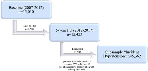 Study design. BL, baseline; CVD, cardiovascular disease; FU, follow-up; HTN, hypertension. Prevalent hypertension: SBP ≥140 mmHg and/or DBP ≥90 mmHg or anti-HTN drug intake. Prevalent CVD: myocardial infarction, coronary heart disease, congestive heart failure, atrial fibrillation, and stroke.