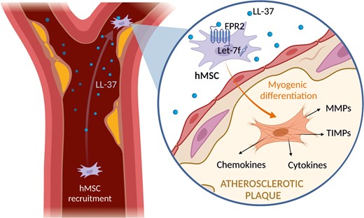 Graphical Abstract
