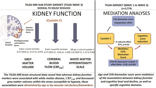 Graphical Abstract