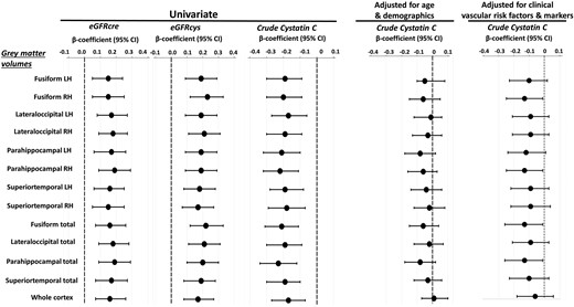 Results of linear regression analysis for grey matter volumes that were most significantly associated with kidney function markers. A total of 4 functional regions were significantly associated with kidney function in univariable analysis after accounting for multiple comparisons (see Table 3). Grey matter volumes were standardized for total intracranial volume. The grey matter volumes are presented for the left and right hemispheres and for both hemispheres combined. Standardized coefficients (βeta-estimates) and 95% confidence intervals (CIs) are presented per increase of z-score transformed volumes and each kidney marker, in univariable analysis and multivariable analysis adjusted for age and demographics (i.e. sex, education, depression), and in separate multivariable analysis adjusted for clinical vascular factors and biomarkers (i.e. smoking, obesity, systolic blood pressure, diastolic blood pressure, number of CVD risk factors, diabetes mellitus, total cholesterol level, HDL-C, CRP, pulse wave velocity, inflammation biomarker score, and cardiovascular biomarker score). Of note, based on the inspection of the changes in the cystatin-C/eGFRcys regression coefficients, age and cardiovascular BS were the most potent confounders of the association between kidney function and structural abnormalities in the respective regression models.