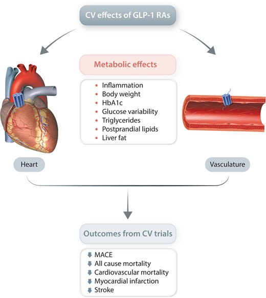 Graphical abstract