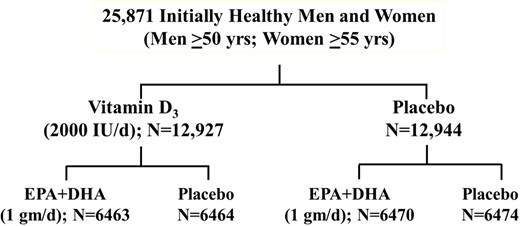 VITAL factorial design. Adapted from Bassuk et al.14 Copyright © 2016, Elsevier. Used with permission.