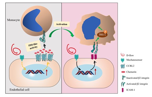 Graphical Abstract