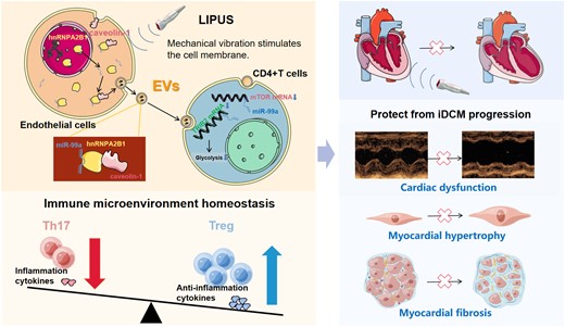 Graphical Abstract