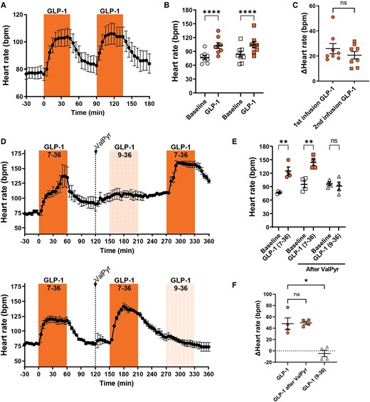 GLP-1 increases heart rate in the anaesthetized pig, but its metabolite GLP-1 (9-36) does not. (A–C) GLP-1 was infused at 10 pmol/kg/min for two consecutive 45 min periods with two 45 min washout periods (n = 8). Heart rate increased similarly in both infusion periods and was followed by a return to near-baseline during washout. (D–F) GLP-1 was infused at 15 pmol/kg/min for 1 h as a control, followed by a bolus injection of the DPP-4 inhibitor Val-Pyr (300 µmol/kg). Subsequently, an hour infusion of GLP-1 at 15 pmol/kg/min either preceded or followed by an hour infusion of the metabolite GLP-1 (9-36) at 10 pmol/kg/min was performed (n = 4). GLP-1 increased heart rate consistently, whereas its metabolite GLP-1 (9-36) did not. Tested with two-way repeated measures ANOVA with Bonferroni multiple comparisons testing (B and E), paired t-test (C), and repeated measures one-way ANOVA (F); *P < 0.05, **P < 0.01, ****P < 0.0001.