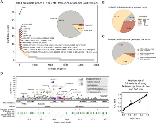 Characterization of CAD risk loci. (A) The cs for each CAD risk gene proximal to a CAD index variant (±0.5 Mb) was calculated using following weights: causal in recent SNP-to-gene analyses = 27,10; V2G score from Opentargets Genetics = 2; ABC score = 285; eQTLs from Qtlizer database = 177; SMC-specific eQTLs = 1.62 A score above 10 is possible if two or more independent CAD associations were detected for a given gene. (B) The causative gene has been identified with very high confidence for around one-third of CAD risk loci. (C) Approximately 40% of susceptibility loci may harbour more than one causative gene. (D) The regional association of the LPA/PLG locus demonstrates the complexity of a GWAS signal. Independent index variants from different CAD GWASs are shown in purple. Genetic features and most severe consequences are from Ensembl (release 110). eQTL affecting the expression level of LPA in liver correlate with CAD risk. The eQTL effect sizes (beta values) are from the Qtlizer database77 and CAD GWAS summary statistics are from Ref. 7.