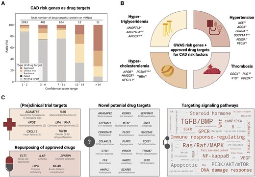 CAD risk genes as potential therapeutic target. (A) Classification of risk genes as potential drug targets for CAD derived from the therapeutic target database.151 The higher the cs, which represents the level of evidence of causality, the more likely it is to identify a drug target that interacts with drugs approved by the U.S. Food and Drug Administration (FDA). (B) Approved targets encoded by genes that impact CAD risk and CAD-associated pathomechanisms such as hypercholesterolemia. cs are shown in superscript (*). Some drug targets were also identified in large-scale array-based and deep-sequencing projects (#).10 (C) Exemplary drug targets that can be (re)used for new therapeutic strategies. Some drug targets encoded by CAD risk gene (cs ≥ 5) are already tested in animal models or clinical trials (phase in parentheses) for CAD-related indications, others interact with FDA-approved drugs prescribed today for other diseases (shown in grey), or were not yet recognized as clinical drug targets (middle panel, cs ≥ 10). According to the Drug-Gene Interaction Database (https://www.dgidb.org/), almost all these genes are druggable or clinically actionable (except RAB23, SNF8, and TCF21). A fourth strategy may involve targeting multiple components of CAD-relevant signalling pathways, e.g. through antisense RNAs. The larger the font size, the more CAD risk candidate genes are part of the signalling pathway. The word cloud was created from GO annotations of CAD risk genes (cs ≥ 3) using the python package wordcloud (pypi.org/project/wordcloud/). Details of drug targets can be found in Supplementary material online, Tables S4 and S5.
