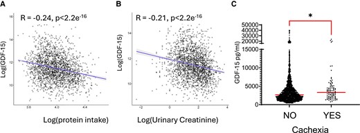 GDF15 correlates with parameters of cachexia in patients with heart failure. Analysis of the BIOSTAT-CHF cohort of patients with heart failure, the correlation between Log-transformed plasma GDF-15 and (A) log-transformed estimated protein intake n = 2112 and (B), log-transformed urinary creatinine. n = 2143. (C) Dot plots of plasma GDF15 were compared in patient groups according to whether they fit the criteria for cachexia. No n = 2153, or Yes n = 90. Data analysed using Mann–Whitney U test *P < 0.05. Medians are shown.