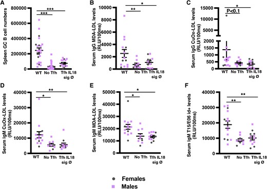 Lack of Tfh cells and absence of IL18 signalling in Tfh lead to a profound reduction of anti-OSE IgG and IgM antibodies, including ‘natural’ IgM antibodies. Data from the same experimental groups as in Figure 1. (A) Total numbers of splenic GC B cells (B220+ Gl7hi CD95hi; n = 6–11 mice/group). (B–F) Graphs showing total serum subtypes of IgG (B, C) and IgM (D–F) levels. Student’s t-test. *P < 0.05, **P < 0.01, and ***P < 0.001.