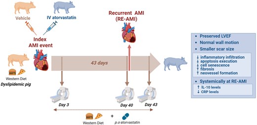 Graphical Abstract
