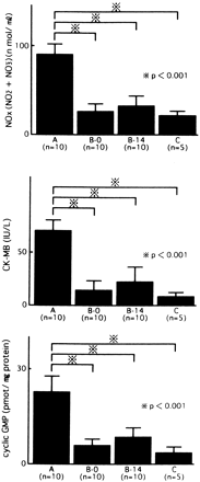Determination of serum NOx (NO2−+NO3−), CK-MB and cyclic GMP. NOx (NO2−+NO3−) levels in Groups A (Ves(-)), B-0 (Ves(+; day 0–21)), B–14 (Ves(+; day 14-21)) and C (C) were 90±13*, 19±10, 26±13 and 14±6 nmol/ml, respectively. There was a significant difference between Groups A and B-0, or B-14 (*P<0.001 vs. Group B-0, B-14). CK-MB levels in Groups A (Ves(−)), B-0 (Ves(+; day 0–21)), B-14 (Ves(+; day 14–21)) and C (C) were 71±10*, 15±9, 23±14 and 9±4 IU/L, respectively. There was a significant difference between Groups A and B-0, or B-14 (*P<0.001 vs. Group B-0, B-14). Levels of cGMP in heart tissues were significantly higher in Group A (n=10) vs. Group B-0 (n=10), Group B-14 (n=10), or Group C (n=5) (23±5.0* vs. 6.1±2.1, 8.8±3.0, or 3.8±1.9 pmol/mg protein, respectively, *P<0.001 vs. Groups B-0, B-14, and C).