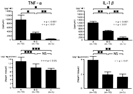 Serum and heart tissue levels of TNF-α and 1L-1β. In serum levels of TNF-α and IL-1β, there was a significant difference between Groups A (Ves(−)) and B-0 (Ves(+)), and C (C). *P<0 001, **P<0.01, ***P<0.05. In levels of TNF-α and IL-1β in heart tissues, there was a significant difference between Groups A and B-0 or C. **P<0.01.