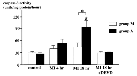 Caspase-3 activities in AMI hearts. Caspase-3 activities were measured by the caspase-3 cellular activity assay kit as described in Methods. Closed bar and open bar indicate with or without AG-490 treatment. AG-490 was administered intravenously 30 min before coronary ligation and every 4 h after ligation at a dose of 1 mg/kg. DEVD-CHO (20 μM) was used as a chemical inhibitor for caspase-3 and added to the reaction mixture when indicated. Data are expressed as mean±S.D. from four samples. #, P<0.05 vs. control; *, P<0.05.