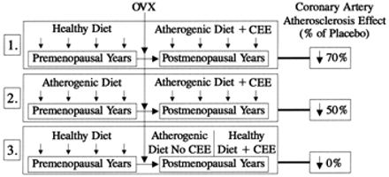 The relation of pre- and post-menopausal conditions to the degree of, or lack of, inhibition of coronary artery atherosclerosis [24,28,30,31]. OVX, ovariectomy; and CEE, conjugated equine estrogen.