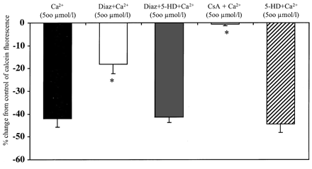 Effects of calcium (500 μmol/l), diazoxide (Diaz, 30 μmol/l), 5-hydroxydecanoic acid (5-HD, 100 μmol/l), and cyclosporin A (CsA, 0.2 μmol/l), on MPTP opening as demonstrated by reductions in mitochondrial calcein fluorescence. Mean±S.E.M. percent change from control (0.1 μmol/l Ca2+), in the presence or absence of the treatment drug, of median calcein fluorescence. n = 6. * P<0.0001.
