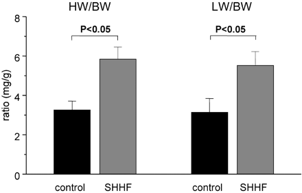 Heart weight:body weight and lung weight:body weight ratios. Black bars: Age-matched controls (n=16); grey bars: SHHF rats (n=13). Both hypertrophy/heart failure markers are significantly enhanced in SHHF rats, compared to age-matched control rats.
