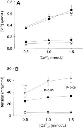 Effect of oxypurinol on Ca2+ cycling and tension in failing rat myocardium; group data. (A) Peak systolic (squares) and resting (circles) [Ca2+]i during twitches. (B) Peak systolic (squares) and resting (circles) tension during twitches. (A,B) Filled symbols, drug-free failing myocardium (n=5); open symbols, oxypurinol-treated failing myocardium (n=4). Oxypurinol has no effect on Ca2+ cycling but significantly increases force development. Invisible error bars indicate that error is smaller than the symbol; n.s., not significant.